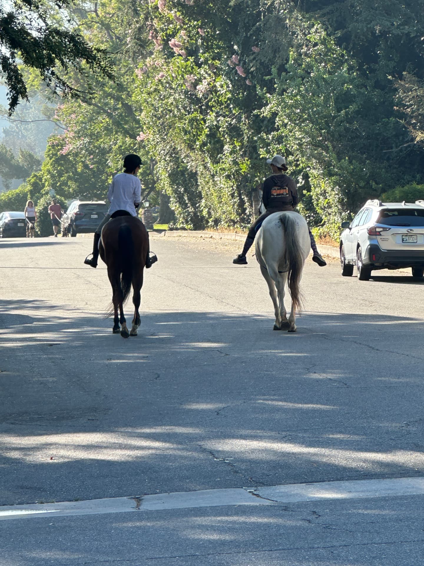 Two horseback riders on a tree-lined street in Burbank Rancho
